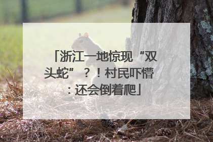 浙江一地惊现“双头蛇”？！村民吓懵：还会倒着爬
