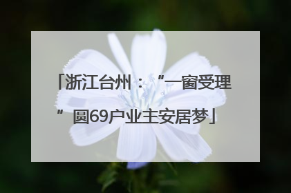 浙江台州：“一窗受理”圆69户业主安居梦