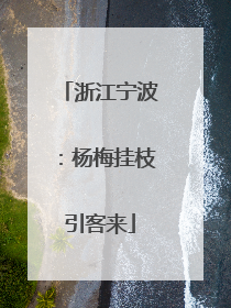 浙江宁波：杨梅挂枝引客来