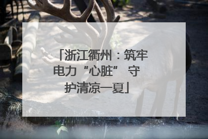 浙江衢州：筑牢电力“心脏” 守护清凉一夏