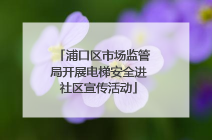 浦口区市场监管局开展电梯安全进社区宣传活动
