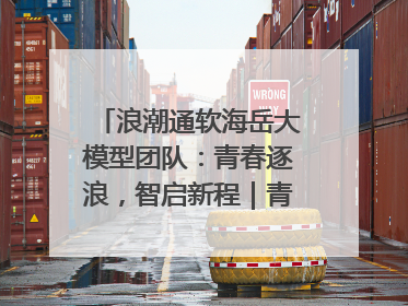 浪潮通软海岳大模型团队：青春逐浪，智启新程｜青春思政课