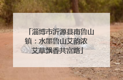 淄博市沂源县南鲁山镇：水墨鲁山艾韵浓 艾草飘香共富路