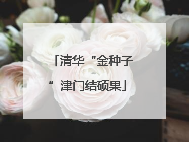 清华“金种子”津门结硕果