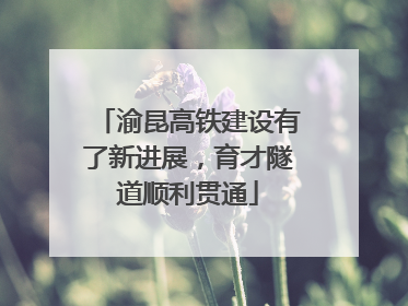 渝昆高铁建设有了新进展，育才隧道顺利贯通