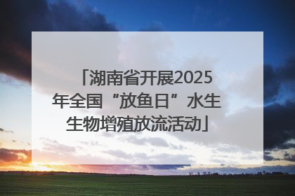 湖南省开展2025年全国“放鱼日”水生生物增殖放流活动