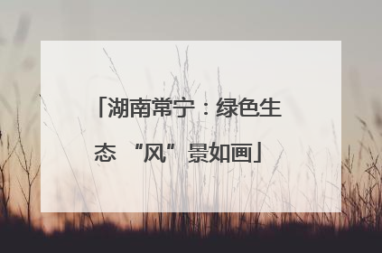 湖南常宁：绿色生态 “风”景如画