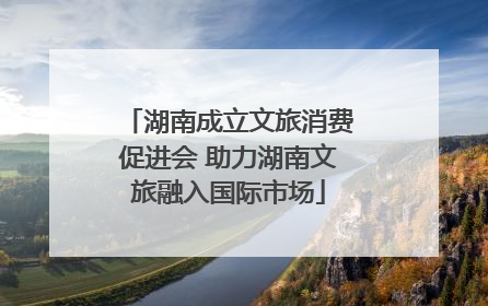 湖南成立文旅消费促进会 助力湖南文旅融入国际市场