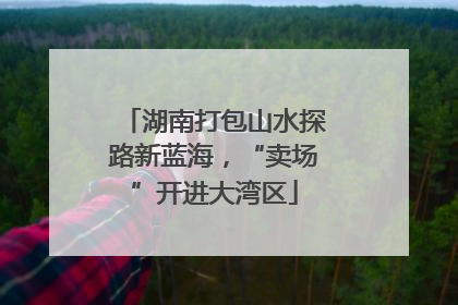 湖南打包山水探路新蓝海，“卖场”开进大湾区