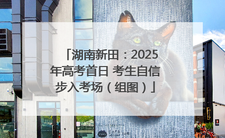 湖南新田：2025年高考首日 考生自信步入考场（组图）