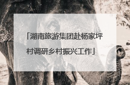 湖南旅游集团赴杨家坪村调研乡村振兴工作