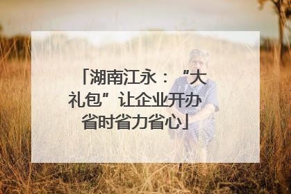 湖南江永：“大礼包”让企业开办省时省力省心