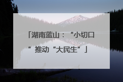 湖南蓝山：“小切口”推动“大民生”