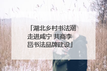 湖北乡村书法潮走进咸宁 共商李邕书法品牌建设