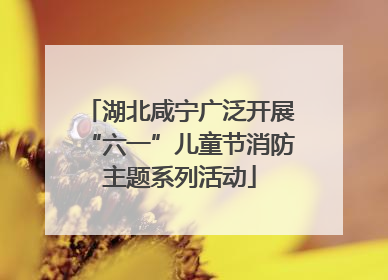 湖北咸宁广泛开展“六一”儿童节消防主题系列活动
