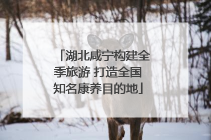 湖北咸宁构建全季旅游 打造全国知名康养目的地
