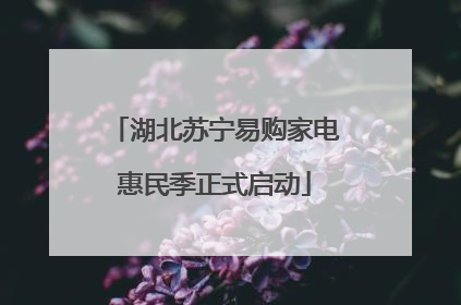 湖北苏宁易购家电惠民季正式启动