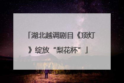 湖北越调剧目《顶灯》绽放“梨花杯”