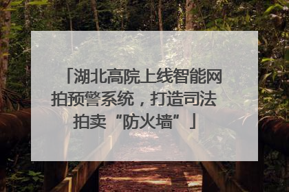 湖北高院上线智能网拍预警系统，打造司法拍卖“防火墙”