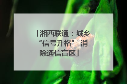 湘西联通：城乡“信号升格” 消除通信盲区