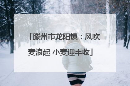 滕州市龙阳镇：风吹麦浪起 小麦迎丰收
