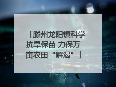 滕州龙阳镇科学抗旱保苗 力保万亩农田“解渴”