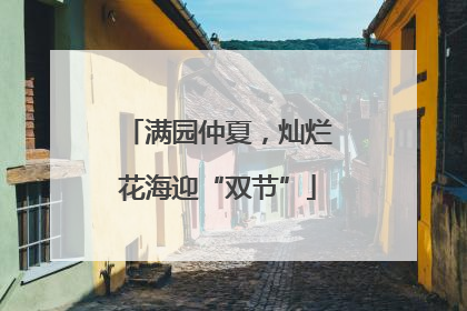 满园仲夏，灿烂花海迎“双节”