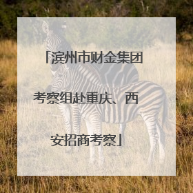 滨州市财金集团考察组赴重庆、西安招商考察