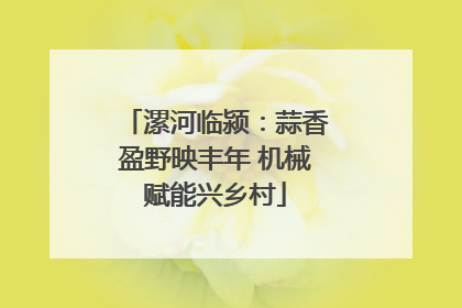 漯河临颍：蒜香盈野映丰年 机械赋能兴乡村