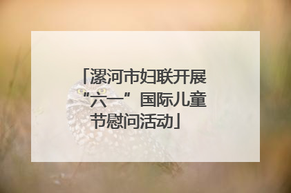 漯河市妇联开展“六一”国际儿童节慰问活动