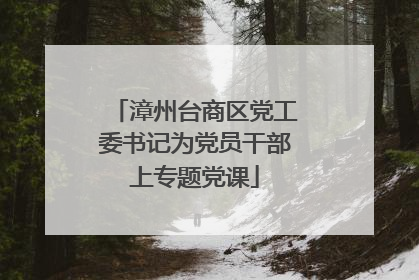 漳州台商区党工委书记为党员干部上专题党课