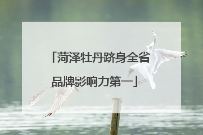 菏泽牡丹跻身全省品牌影响力第一