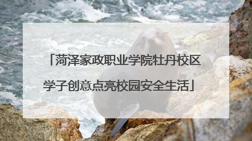 菏泽家政职业学院牡丹校区学子创意点亮校园安全生活