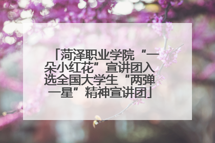 菏泽职业学院“一朵小红花”宣讲团入选全国大学生“两弹一星”精神宣讲团
