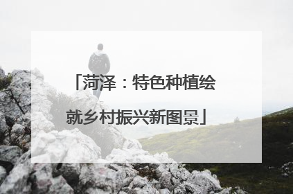 菏泽：特色种植绘就乡村振兴新图景