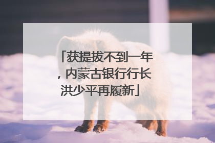获提拔不到一年，内蒙古银行行长洪少平再履新