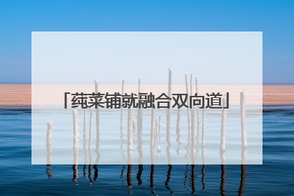 莼菜铺就融合双向道