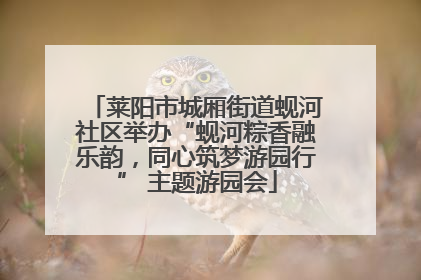 莱阳市城厢街道蚬河社区举办“蚬河粽香融乐韵，同心筑梦游园行” 主题游园会