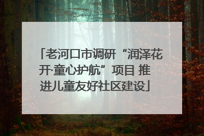 老河口市调研“润泽花开·童心护航”项目 推进儿童友好社区建设