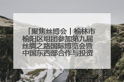 聚焦丝博会丨榆林市榆阳区组团参加第九届丝绸之路国际博览会暨中国东西部合作与投资贸易洽谈会
