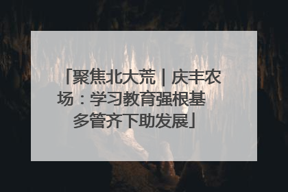 聚焦北大荒｜庆丰农场：学习教育强根基 多管齐下助发展