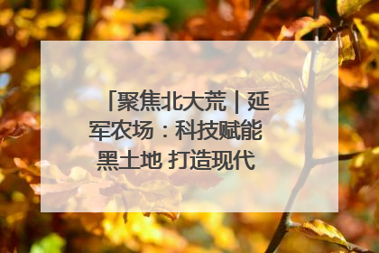 聚焦北大荒｜延军农场：科技赋能黑土地 打造现代农业“智慧芯”