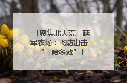聚焦北大荒｜延军农场：飞防出击 “一喷多效”