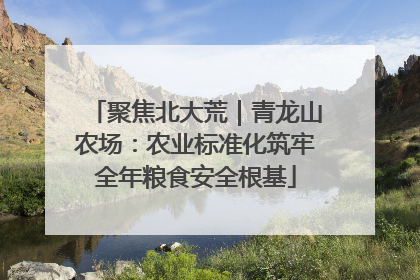 聚焦北大荒｜青龙山农场：农业标准化筑牢全年粮食安全根基