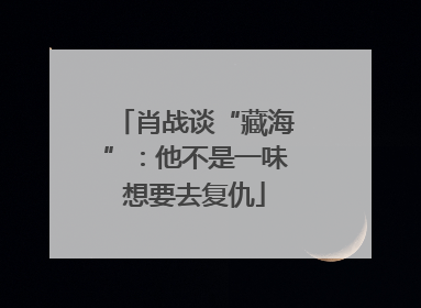肖战谈“藏海”：他不是一味想要去复仇