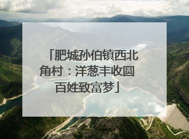 肥城孙伯镇西北角村：洋葱丰收圆百姓致富梦