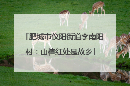 肥城市仪阳街道李南阳村：山楂红处是故乡