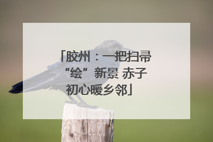 胶州：一把扫帚“绘”新景 赤子初心暖乡邻