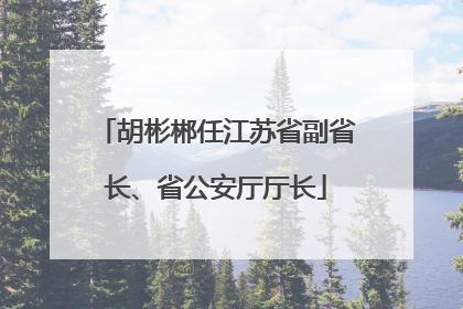 胡彬郴任江苏省副省长、省公安厅厅长