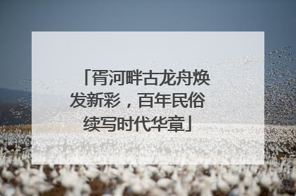 胥河畔古龙舟焕发新彩，百年民俗续写时代华章